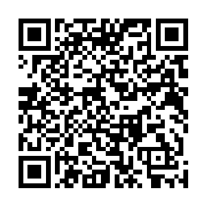 破碎的肌肤便在这两道光芒的注入之下开始全部重新滋生二维码生成
