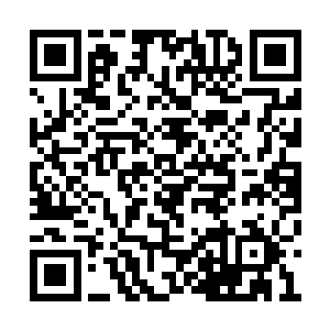 硕大的拳头也再一次朝着龙傲天的身上席卷而来二维码生成