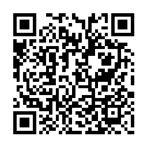 硕大的拳头也是狠狠的朝着天殇仙帝的身上轰去二维码生成