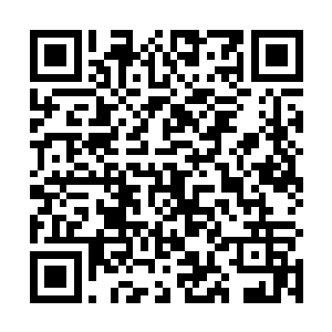 硬币竟然顺着门缝滚进了卫生间里……张小凡心里大恨二维码生成