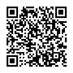 硬是拽着严承悦要他帮忙打吓一下京城各户人家的动向二维码生成