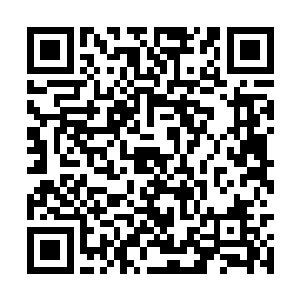 硬是让丁长生陈丽红的电动车抬上了汽车的后备箱二维码生成