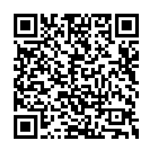 硬生生把猎人射入你体内的所有子弹都挤了出来二维码生成
