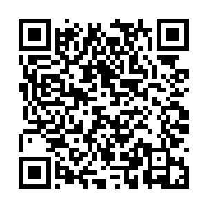 硬生生把董子墨父子布好的天罗地撕开了一个口子二维码生成
