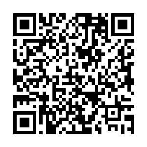 确保他的神魂出现了一瞬间的清晰用人类的话来说二维码生成