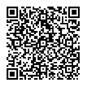 确保1oo台苹果笔记本电脑以及其他虚拟和实物奖品都送到智为科技的忠实用户手中二维码生成