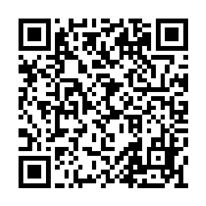 确定你不是天启组织甚至地球意志派出来的特工二维码生成