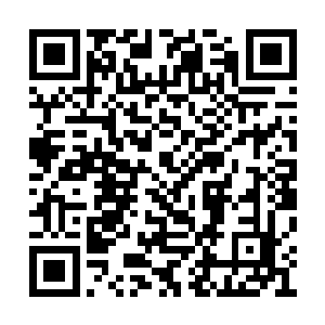 确定司空嫣然是真的要帮他完成泡妞大计的时候二维码生成