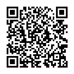 确实发现他手中的金莲已经成长到不亚于戾血莲的存在了二维码生成