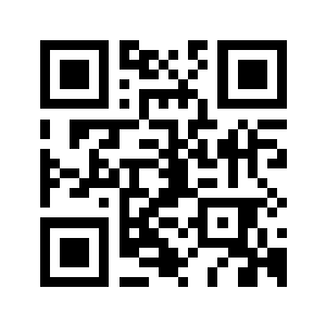 确实是定王府的人二维码生成