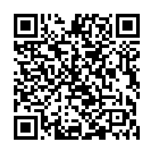 确实有许多讨回来的领主言之凿凿地说见到了杨开的身影二维码生成
