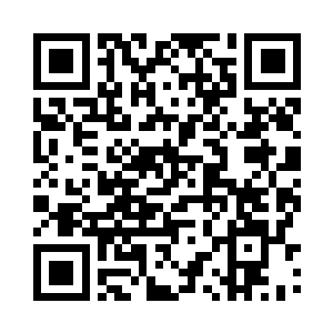 碧落宗掌门和一些宗门高层之间流传二维码生成