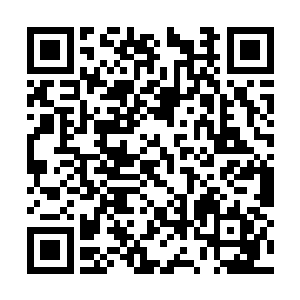 碧霞元君之前就大概猜到了干尸的身份和他的状态二维码生成