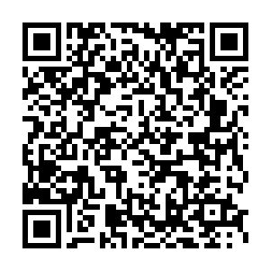 示意她看千灵身下以及已经周围出现腐朽趋势的峰顶平原的土地说道二维码生成