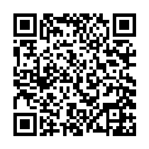 示意由鹿灵犀这位副导演来介绍剧组的几位主要演员二维码生成
