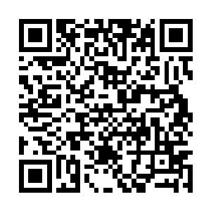 示意自己的儿子乔治尼克把自己推到欧阳志远面前二维码生成