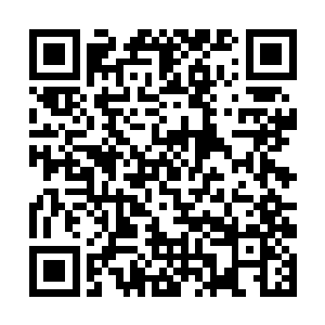 社会这个磨刀石把厉倾城打磨的滑不溜手又锋利无比二维码生成