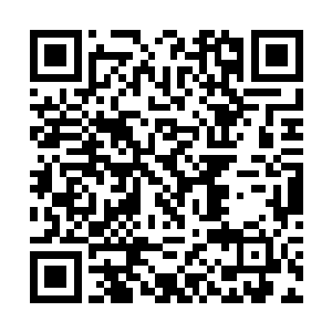 祁湛这才意识到燕军昨夜派来的数千人全部都是死士二维码生成