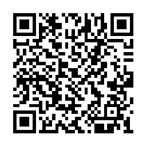 祁连禹在空连忙翻了几个跟头才险险的站稳了脚二维码生成