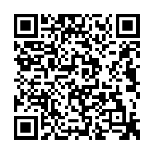 祈求李耀这样的碳基智慧生命能帮他们生存下去二维码生成