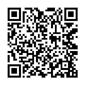 祈鸿志和老人赫四人在他们的叮嘱下已经事先藏入下城二维码生成