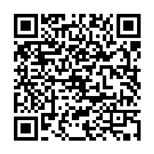 祖父祖母以及父母若是一开始就想让莉莉成为圣女二维码生成