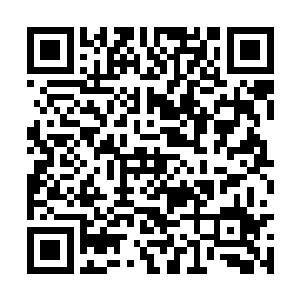 祝大师乃是天宇商盟首席炼丹师宇文伯大师的弟子二维码生成