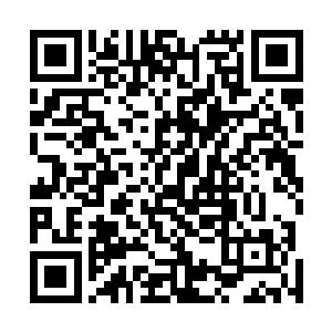 祝彪的英武还是让这一个有着数十女子的人家颇为中意的二维码生成