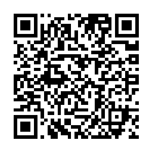 祝植淳……祝植淳整天忙活给飞行俱乐部买飞机的事二维码生成