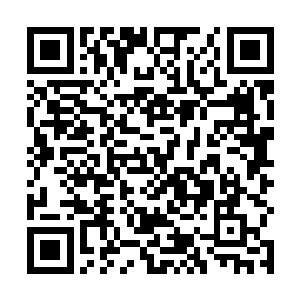 神主的意思是叫你们以后看到他行单膝下跪之礼就可以二维码生成