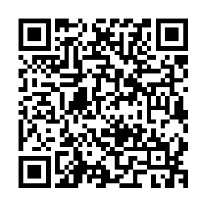 神将府大军驻守在和西北堕民之地隔山相望的大夏国土最西端二维码生成