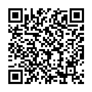 神情有些痛苦――只有用神识查探完煮时林的所有区域二维码生成