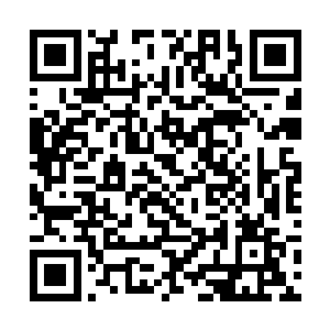 神村那些人也只知道他们从小身体里面就有这些虫子二维码生成