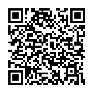 神梦平静的说出林铭进入修罗路试炼的准确时间二维码生成