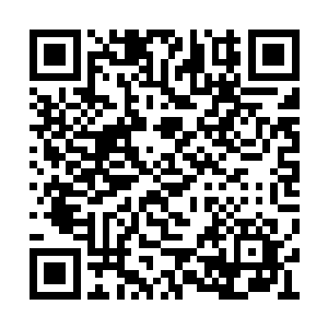 神殿之主在被更替之前需要向自己领民支付工资二维码生成