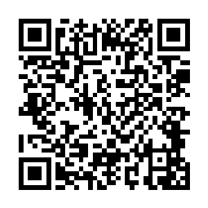 神殿的事情差不多都是三十六护法加上圣子和圣女处理的二维码生成