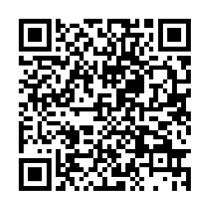 神界当年有一个人在二十岁的时候拥有神王的实力二维码生成