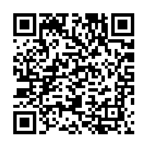 神蚕的血脉应该与刚才那头大战神龙的洪荒巨象差不多的二维码生成