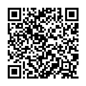 神识调动元力和身体已经缩短到了三十息的时间二维码生成