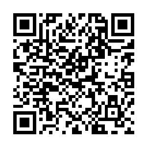 神骨甲战士只要能飞的全部集中到了尼塔和胡德等高层身边二维码生成