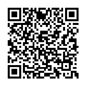 祭台上面也布满了无数的密密麻麻的玄妙的符文二维码生成