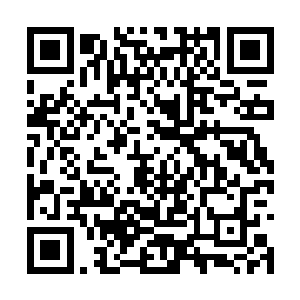 祭司大人回来对有角族和其他势力都有震慑的作用二维码生成