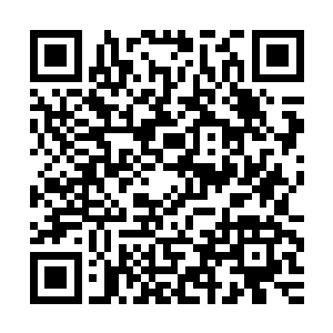 祭放起法宝对着那如洪荒巨人一般矗立在海底的夏云杰攻击而去二维码生成