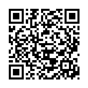 祸发必克……我宁愿折损部分留下纯净根基二维码生成