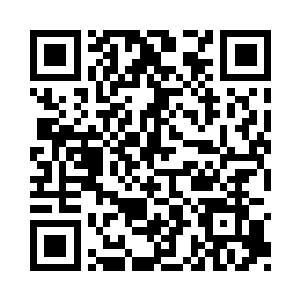 福克斯和大梦的期许是首播能够突破1000万观众二维码生成