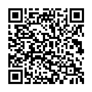 离天界主的溃神通似乎跟仙道流的某些法术类似二维码生成