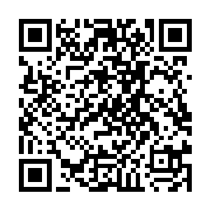 离此不算太远的无相星有一处贡园遭了蟊贼的洗劫后二维码生成