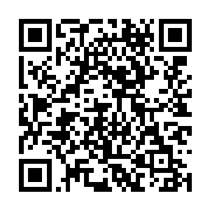 离老王头最近的眼镜男听到老王头说了这句话之后二维码生成