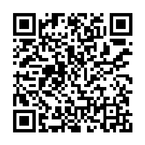 秀灵族残余的不多族人却没有选择回到那片草原二维码生成