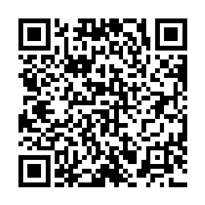 秀韵……秀韵……我要见秀韵……秀韵……我想睡觉……二维码生成
